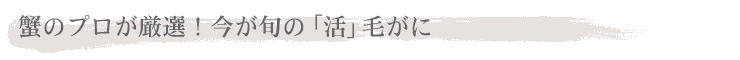 蟹のプロが厳選！今が旬の極上「活」毛がに