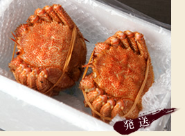 発送