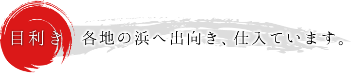 各地の浜へ出向き、仕入ています。