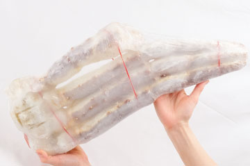 足だけなので使いやすく豪華！ギフトにも。