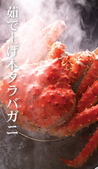 䥂ŏグ{^oKĵz
