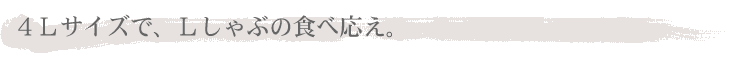 4Ｌサイズで、Ｌしゃぶの食べ応え