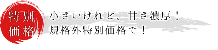 小さいけれど、甘さは濃厚！規格外特別価格で！