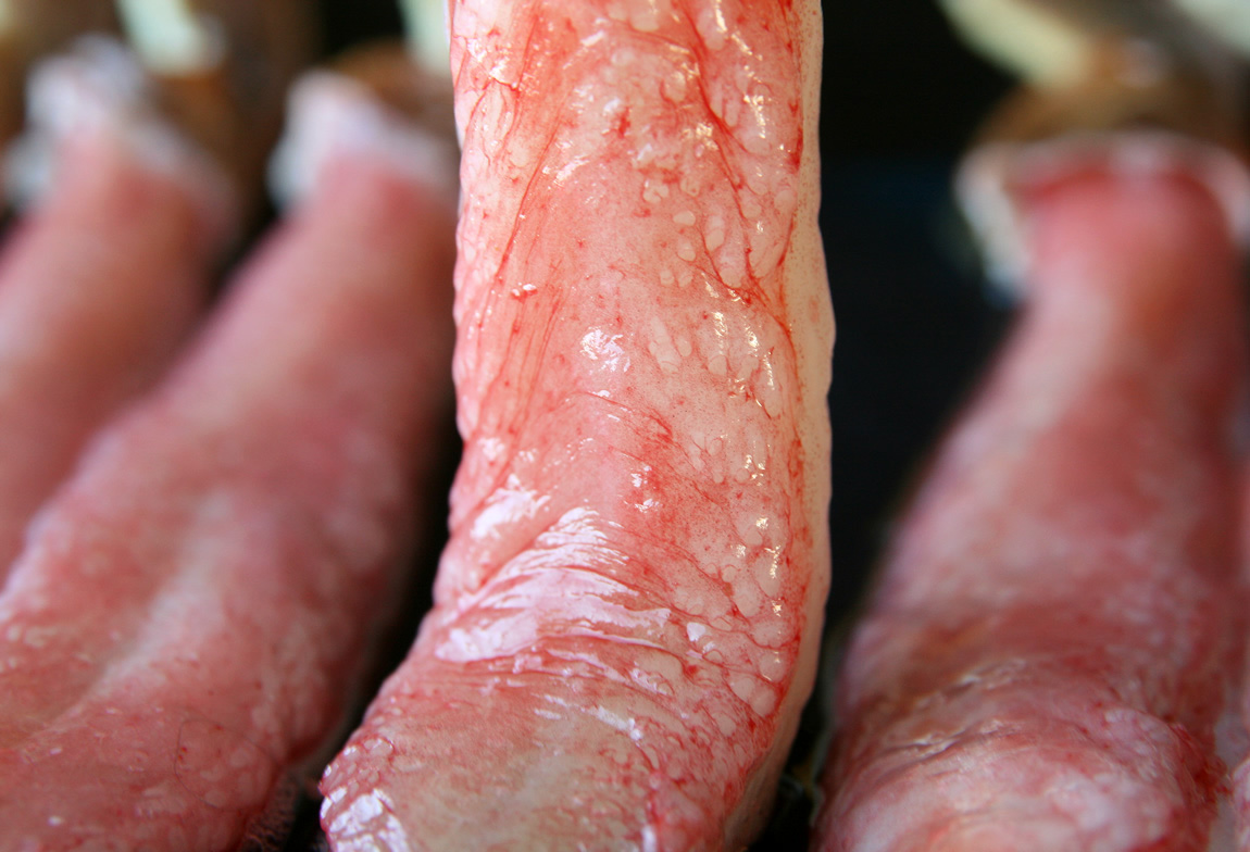 超超特大5Lサイズ