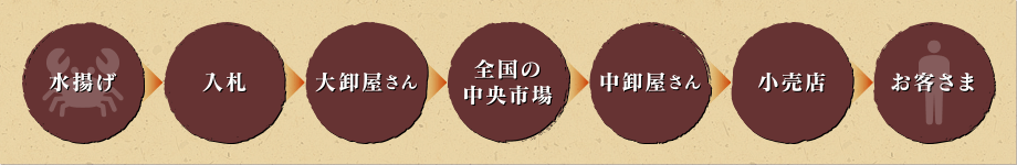 水揚げ→入札→大卸屋さん→全国の中央市場→中卸屋さん→小売店→お客さま