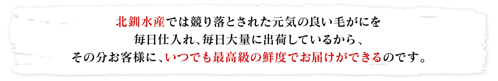 北釧水産では競り落とされた元気の良い毛がにを毎日仕入れ、毎日大量に出荷しているから、その分お客様に、いつでも最高級の鮮度でお届けができるのです。