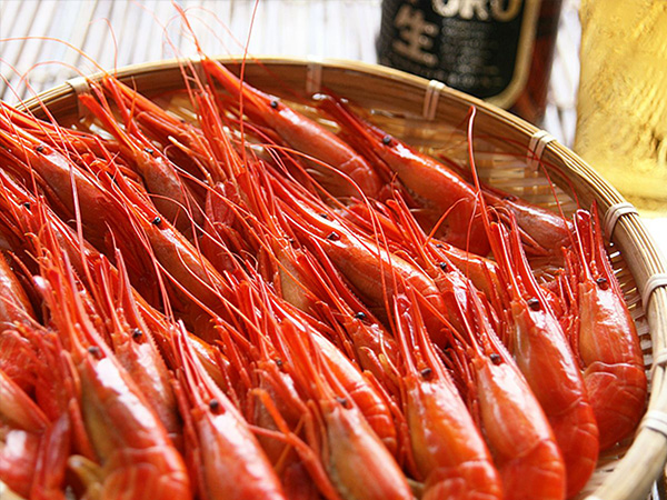 ��銱���z�b�P