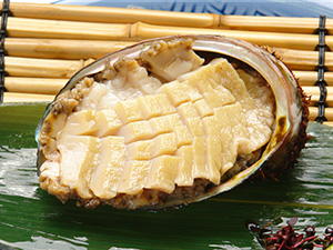 北海道産お刺身用蝦夷あわび