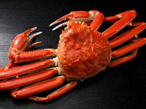 「蟹の匠」茹で本ずわいがに