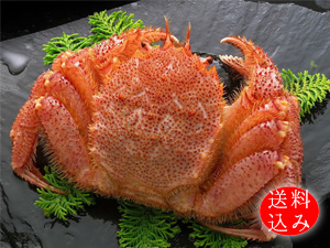 お中元におすすめの海鮮・魚介類ギフト｜かに通販の北釧水産