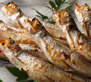 釧路本ししゃも