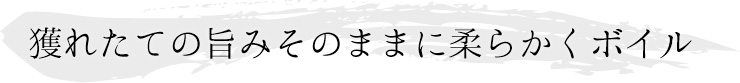 【送料込】晩酌セット(急速冷凍)