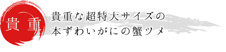 貴重な超特大サイズの本ずわいがにの蟹ツメ