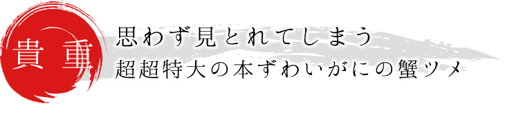 思わず見とれてしまう。超超特大の本ずわいがにの蟹ツメ