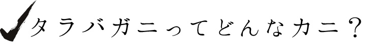 タラバガニってどんなカニ？