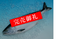 ōHzXYYuvigLVYj