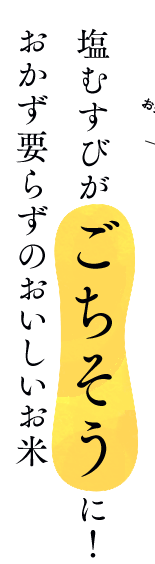 塩むすびがごちそうに！おかず要らずのおいしいお米