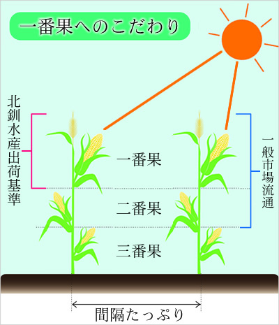 一番果のあまいですにこだわり