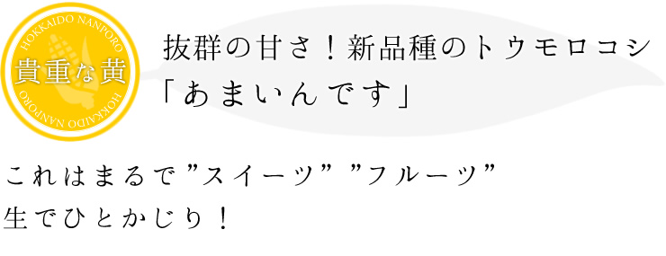 抜群の甘さ！新品種のトウモロコシ「あまいんです」