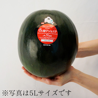 でんすけジュニア
