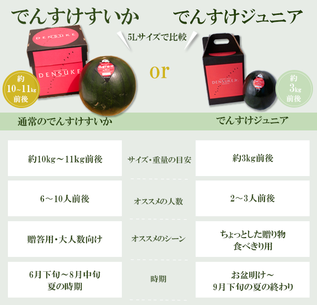 でんすけジュニア