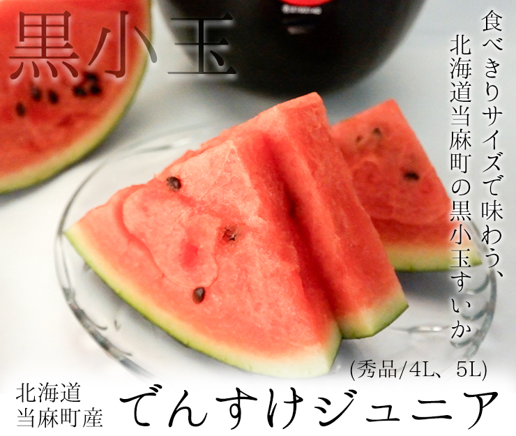 でんすけジュニア