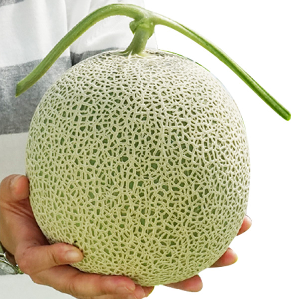 北海道虎杖浜産無着色たらこ