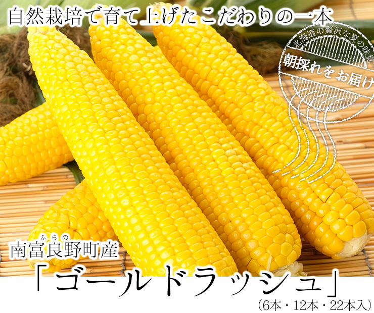 altテキスト