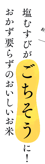 塩むすびがごちそうに！おかず要らずのおいしいお米