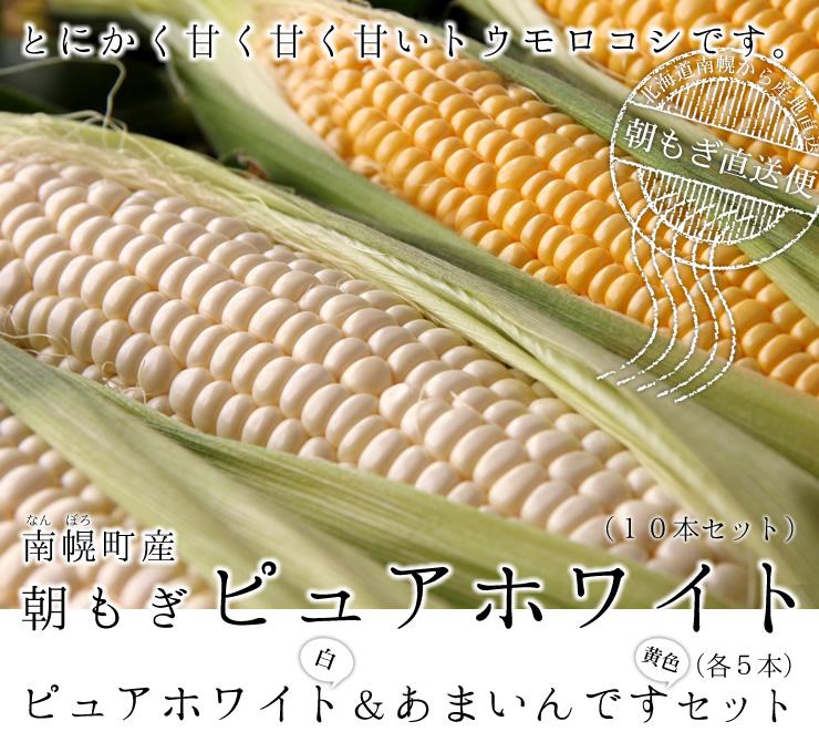 ピュアホワイト(白いとうもろこし) | 北海道産フルーツトウモロコシ通販の北釧水産